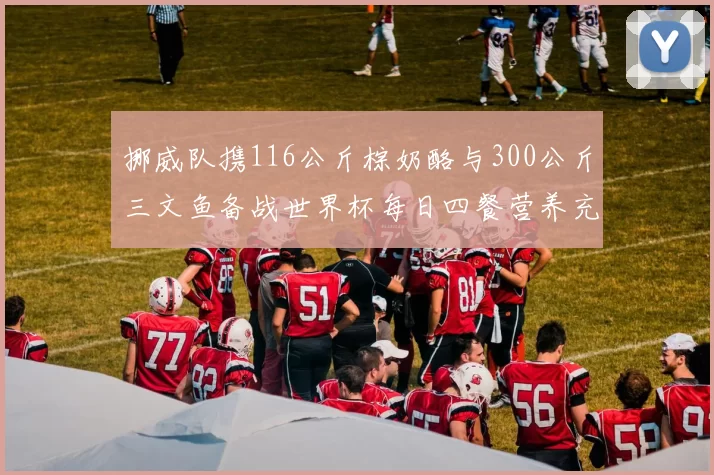 挪威队携116公斤棕奶酪与300公斤三文鱼备战世界杯每日四餐营养充足